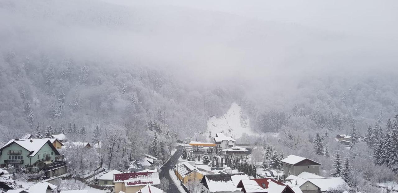 Elite Apartments Sinaia Exterior foto